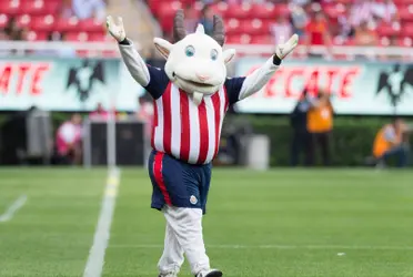 A pesar de que el club tiene cerca de 120 años de historia, el apodo de Chivas apenas tiene al rededor de 70 años