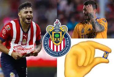 Los Tigres quieren seguir soñando que son un equipo grande y quieren a Alexis Vega, pero lo que dice el 10 de Chivas sobre salir.