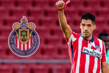 Luis Suárez sería clave para que Chivas traiga a un verdadero refuerzo bomba. 