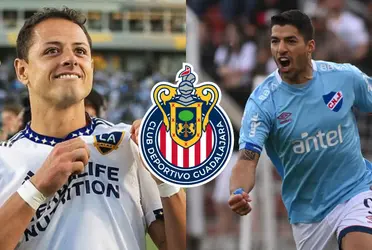 No sería gracias a Luis Suárez; el empresa por el que Javier Hernández llegaría a Chivas. 