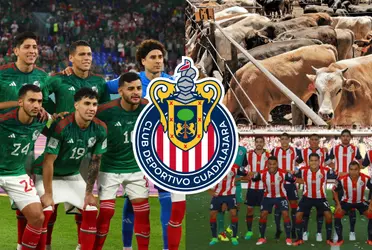 Vistió la camiseta del Tri y Chivas, hoy dedica su tiempo libre a la ganadería y el campo. 